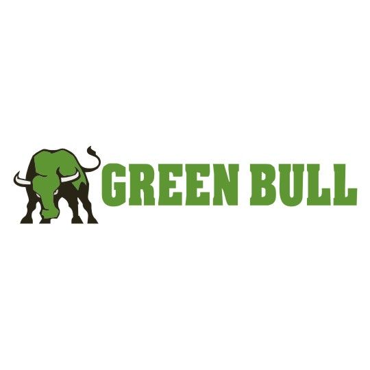 Green Bull 16' Aluminum Extension Ladder