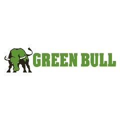 Green Bull 20' Aluminum Extension Ladder