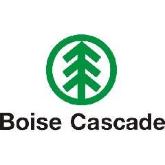 Boise Cascade 1" x 2" x 4' Battens Spruce