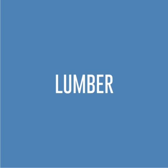 Lumber 1" x 4" x 10' Borate Treated
